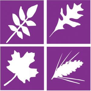 Branching Out logo purple